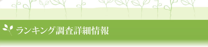 ランキング調査詳細情報